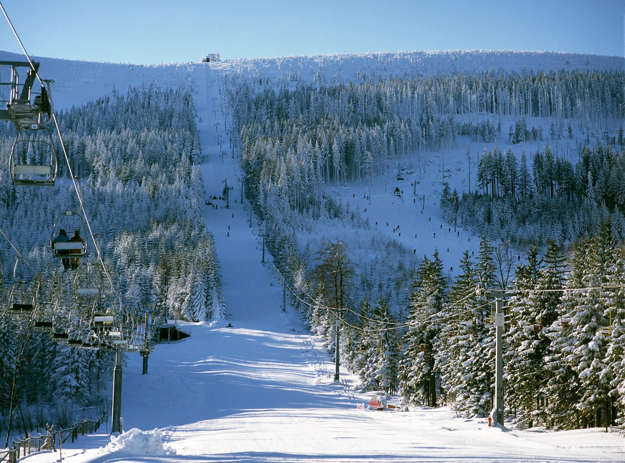 Downhill skiing in the vicinity of Przesieka