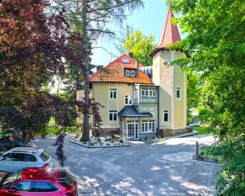 Zdjęcie 11