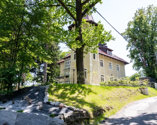 Zdjęcie 23